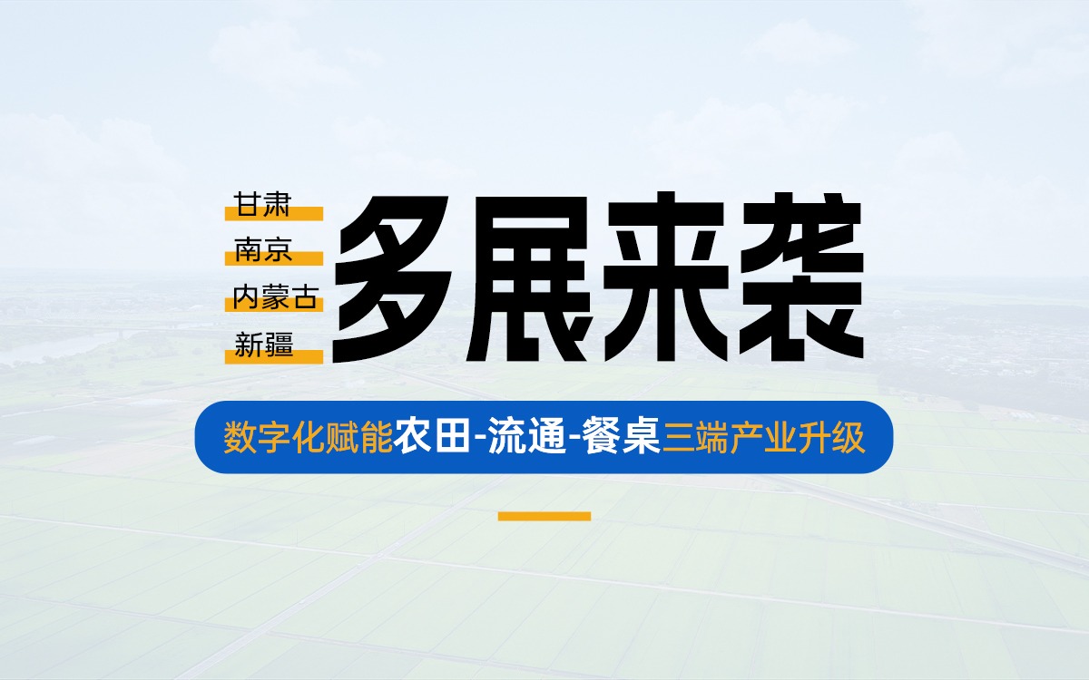 盛夏多展来袭，共探产业数字化新路径